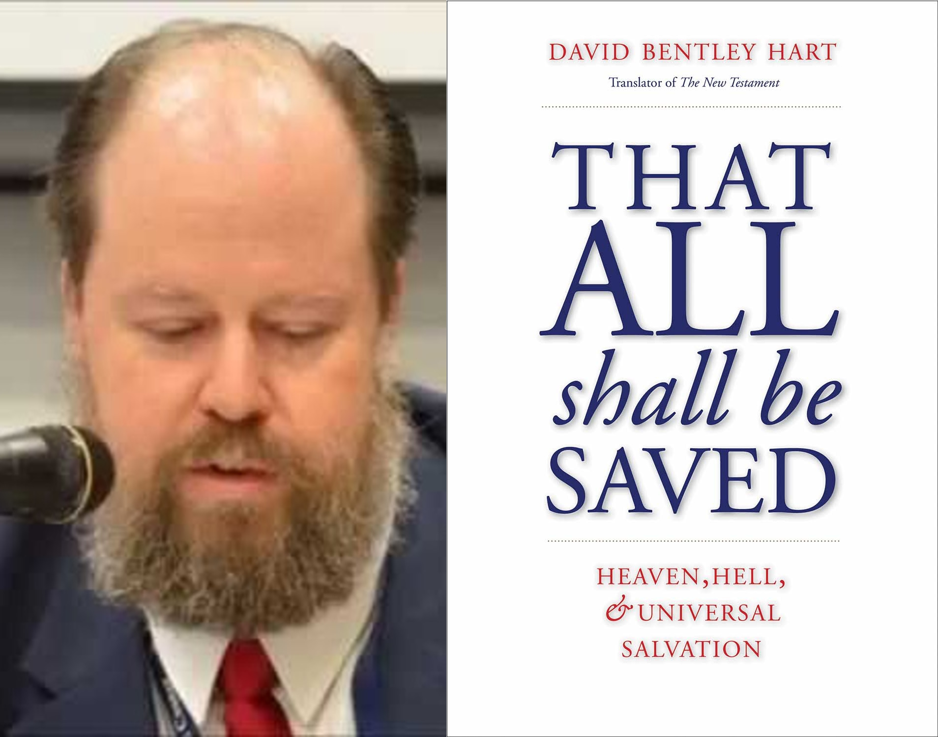 Image result for david bentley hart shall be saved